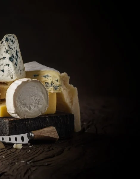 Composition de fromages sur fond sombre